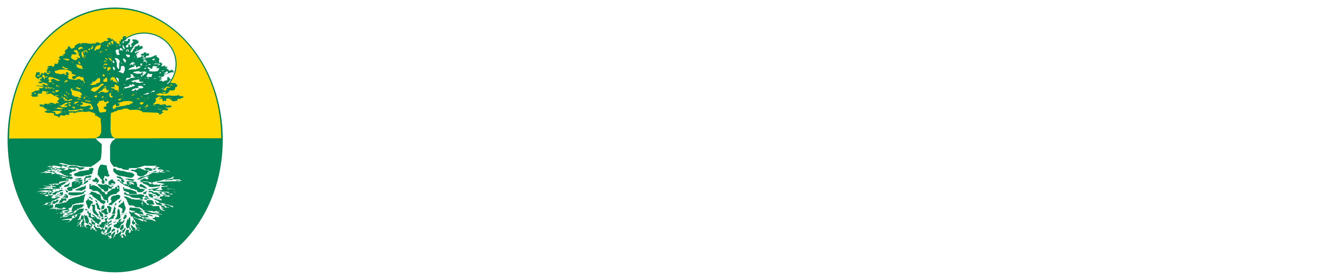 Regenesys Education